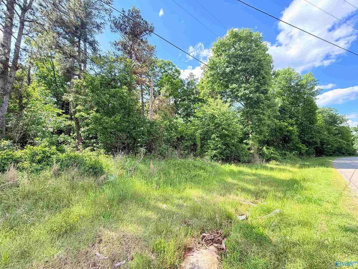 10 ac Sweet Home Rd, Guntersville, AL 35976 - #1