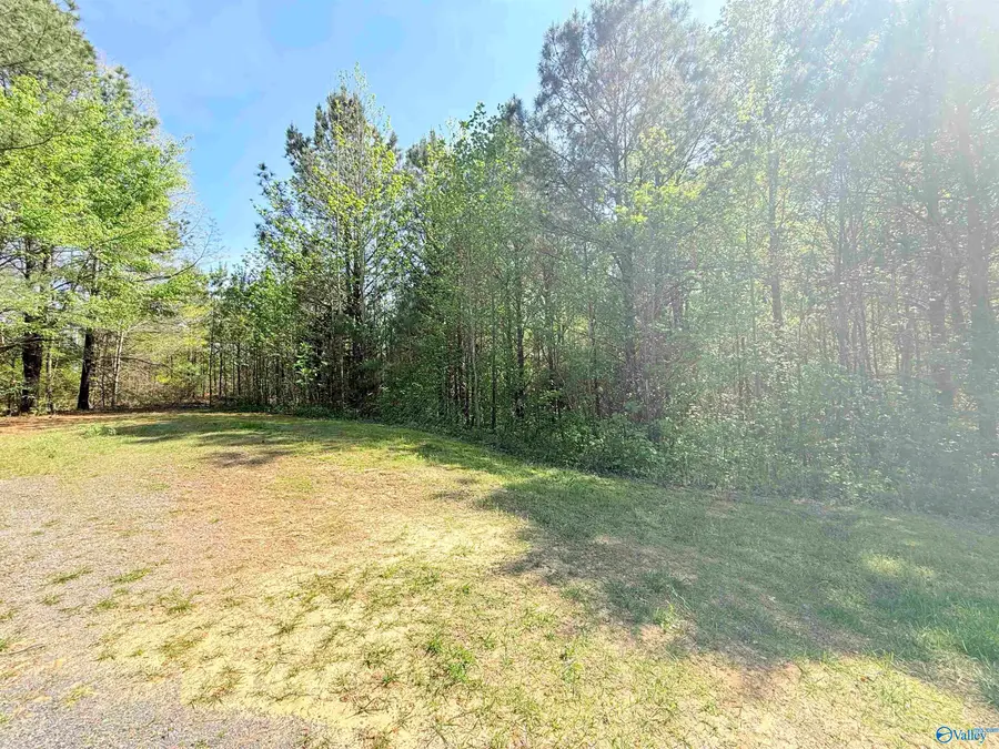 10 ac Sweet Home Rd, Guntersville, AL 35976 - #3