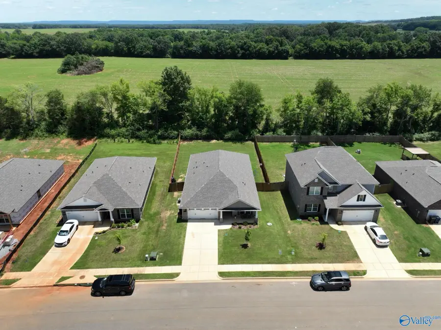 135 Ivy Vine Drive, Toney, AL 35773 - #2