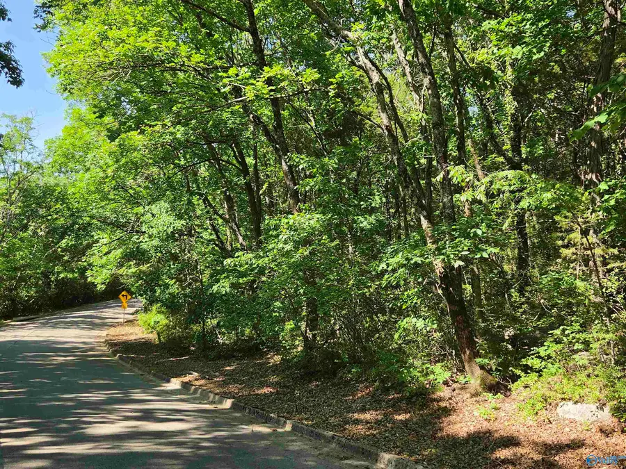 Lot 28 Pikes Peak Drive, Huntsville, AL 35803 - #2
