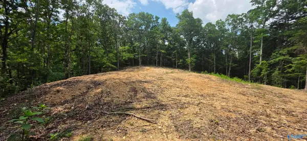 3.08ac Red Oak Drive, Valley Head, AL 35989