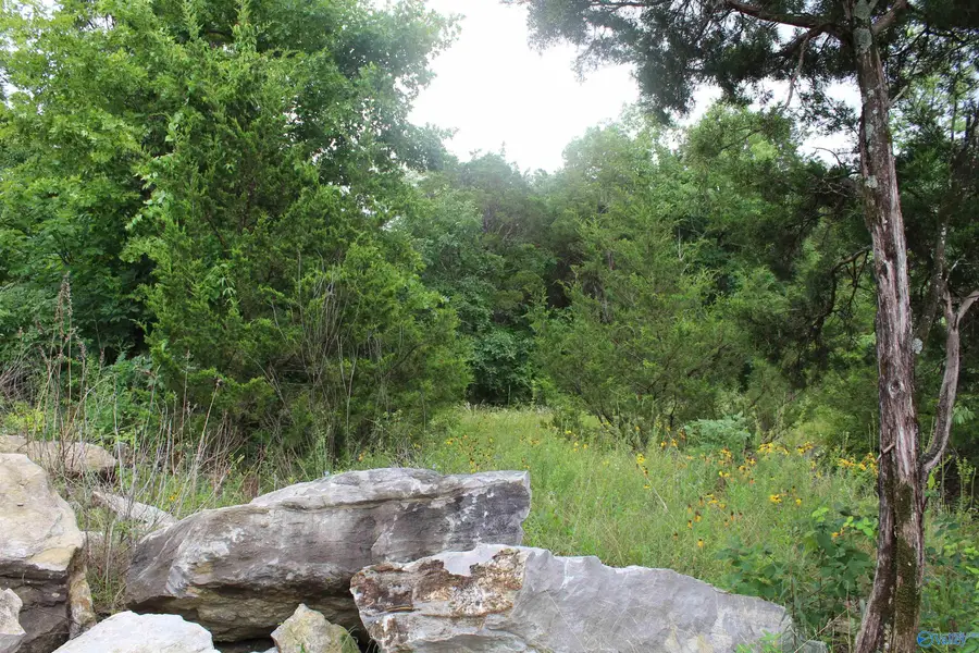 571 Farmingdale Road Se, Huntsville, AL 35803 - #3