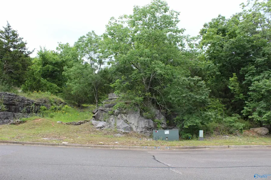573 SE Farmingdale Road Se, Huntsville, AL 35803 - #2