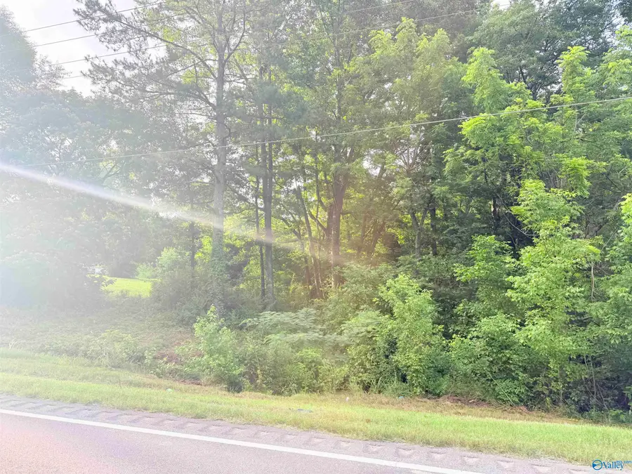 1.7 acres Al Hwy 69, Arab, AL 35016 - #2