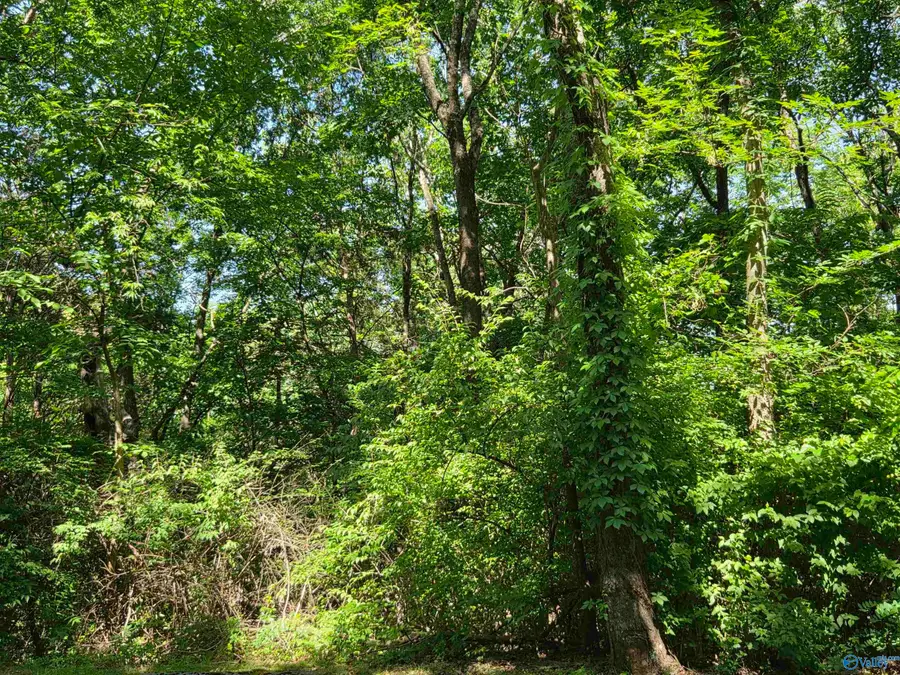 Lot 29 Pikes Peak Drive, Huntsville, AL 35803 - #3