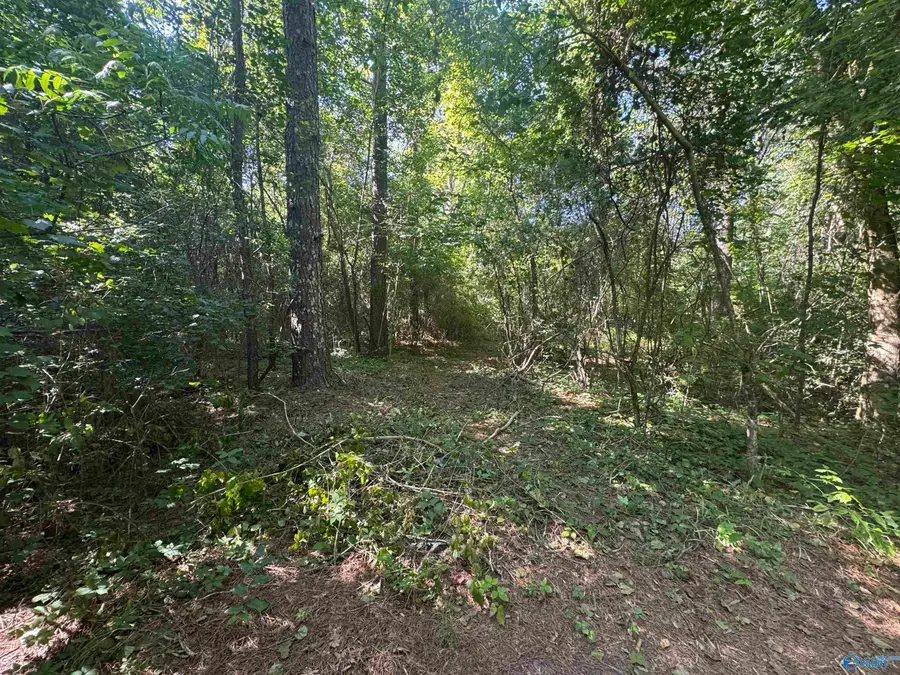 2.27 Acres Union Grove Road, Guntersville, AL 35976 - #2