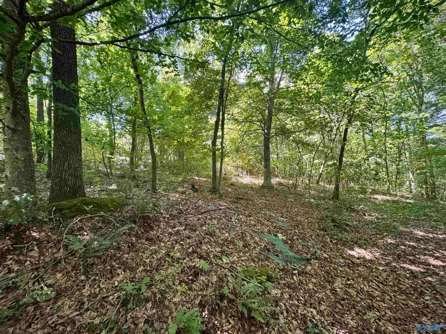 2.27 Acres Union Grove Road, Guntersville, AL 35976 - #3