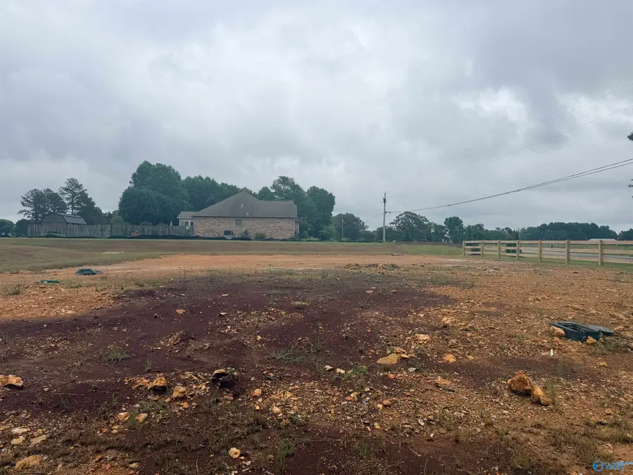 22018 Spyglass Lane, Athens, AL 35613 - #2