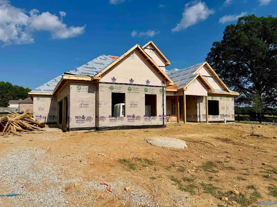 22018 Spyglass Lane, Athens, AL 35613 - #3