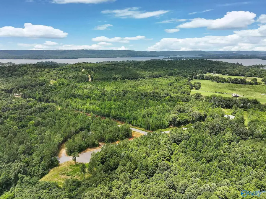 Lot 8 2.7 Acres Durham Road, Langston, AL 35755 - #3