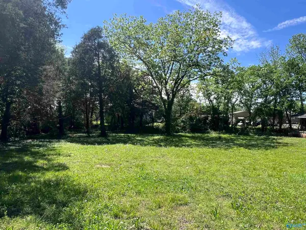 114 Spring Street, New Hope, AL 35760