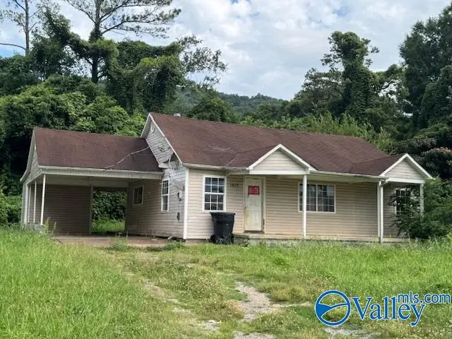 1615 Sanders Avenue Ne, Fort Payne, AL 35967 - #1
