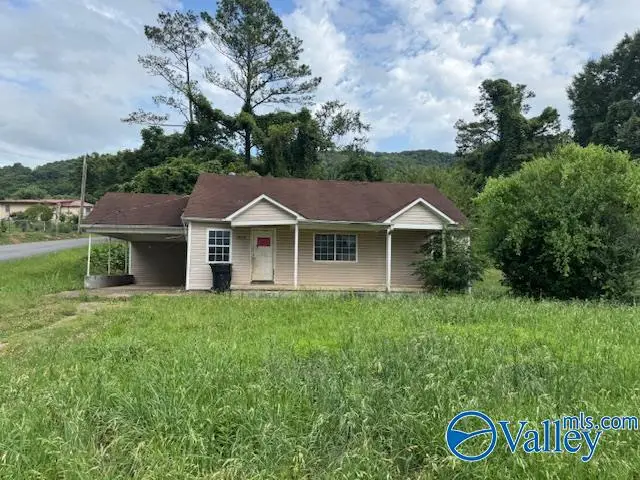 1615 Sanders Avenue Ne, Fort Payne, AL 35967 - #3