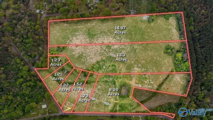 Lot D County Road 113, Hollywood, AL 35752 - #2