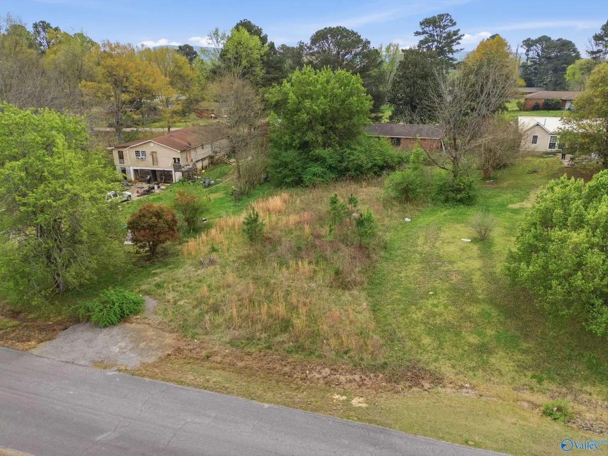 # Plainview Street, Hartselle, AL 35640 - #1