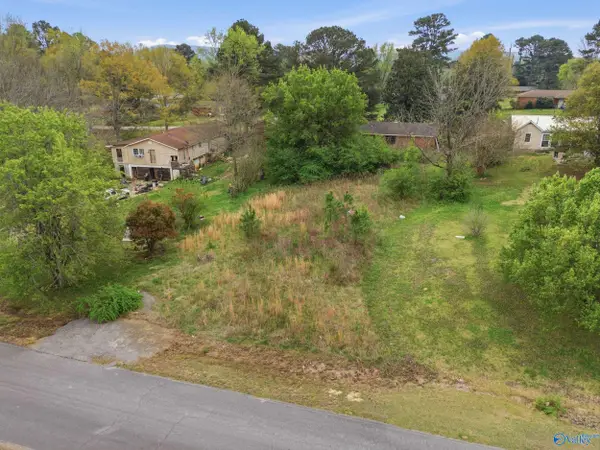 # Plainview Street, Hartselle, AL 35640