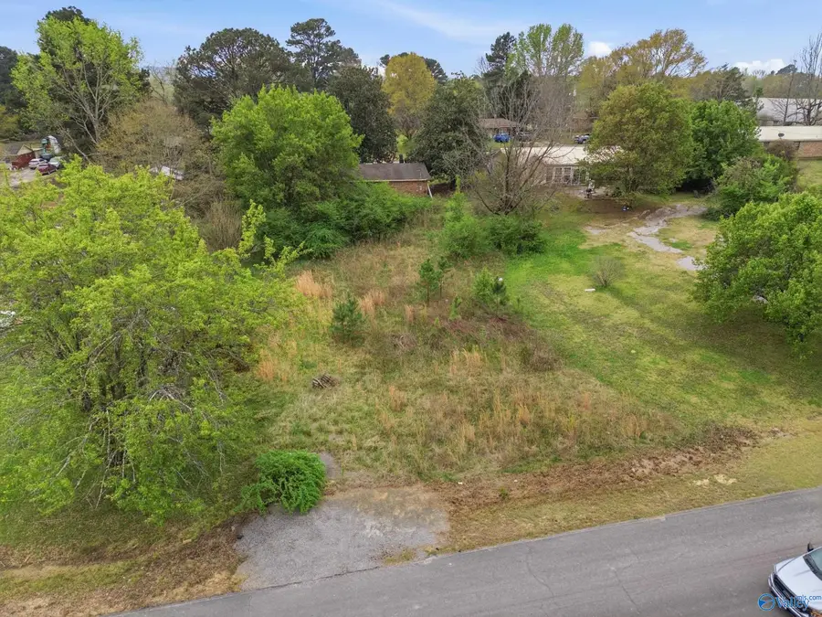 # Plainview Street, Hartselle, AL 35640 - #3