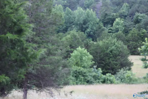 30 Ac Highway 11 N, Valley Head, AL 35989