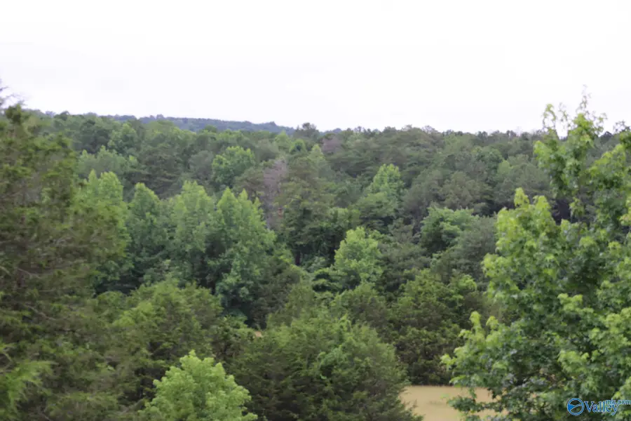 30 Ac Highway 11 N, Valley Head, AL 35989 - #3