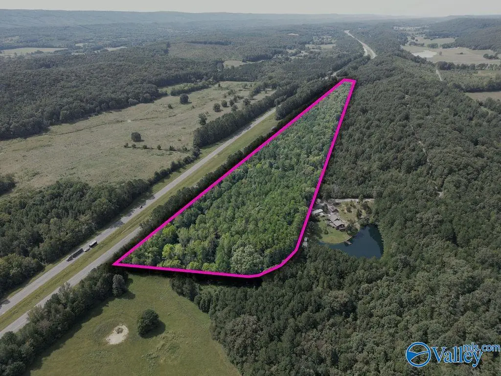 19.68 ac County Road 611, Valley Head, AL 35989 - #1
