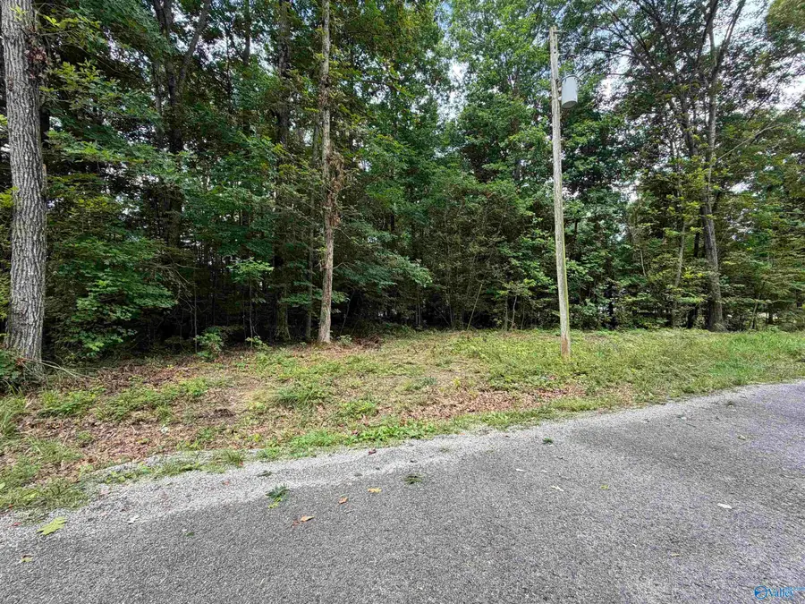Lot 9 County Road 567, Gaylesville, AL 35973 - #2