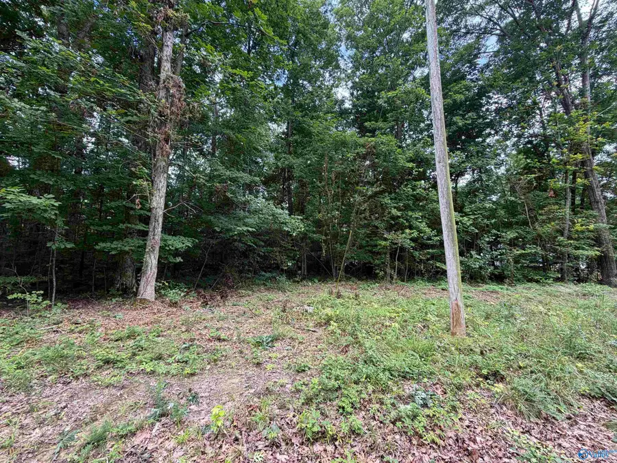 Lot 9 County Road 567, Gaylesville, AL 35973 - #3
