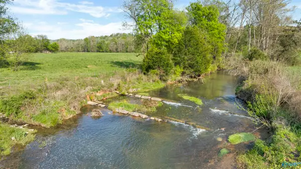 61 Acres Greenhill Blvd Nw, Fort Payne, AL 35967