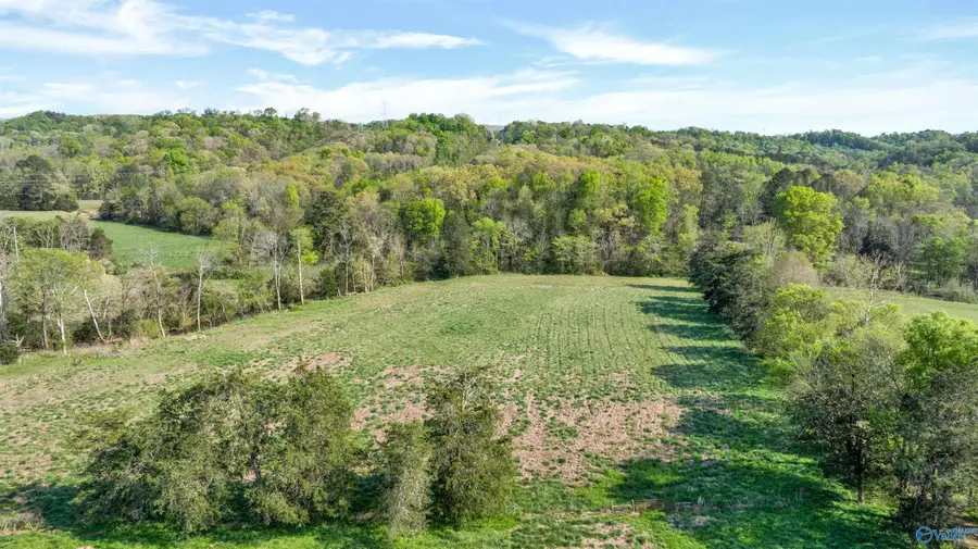 61 Acres Greenhill Blvd Nw, Fort Payne, AL 35967 - #3