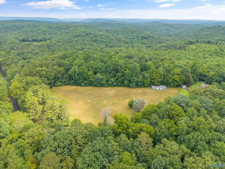 1156 Fish Trap Road, Grant, AL 35747 - #2