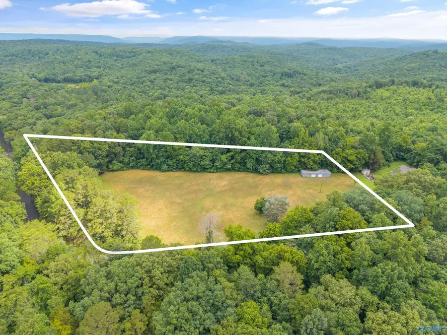 1156 Fish Trap Road, Grant, AL 35747 - #3