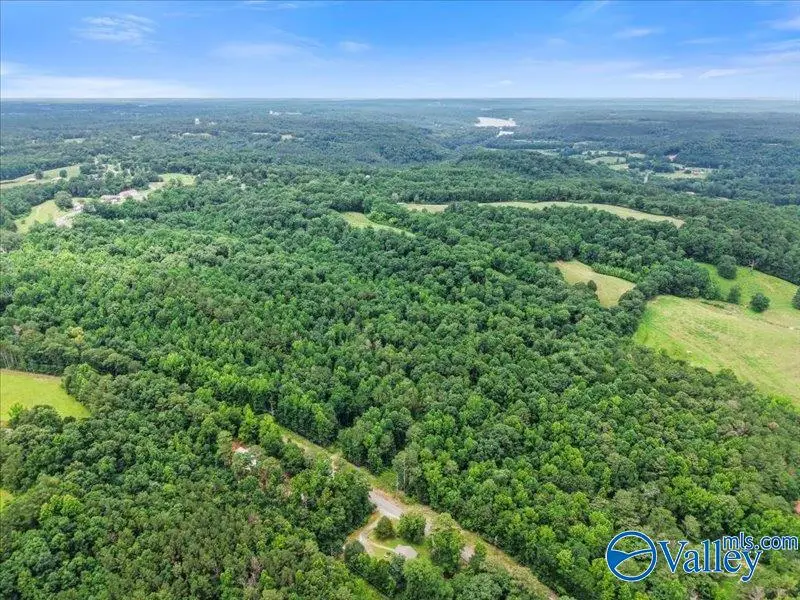 37.0 Acres County Road 940, Crane Hill, AL 35053 - #1