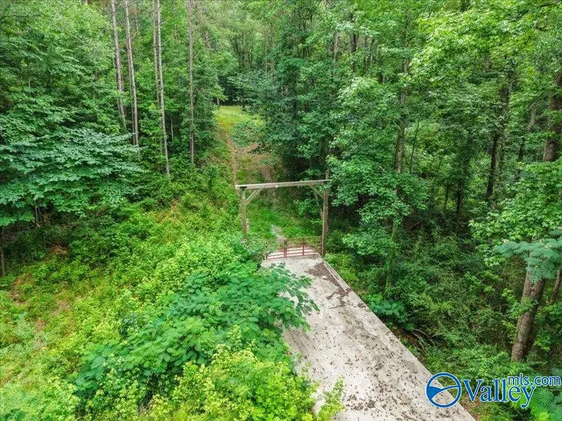 37.0 Acres County Road 940, Crane Hill, AL 35053 - #2