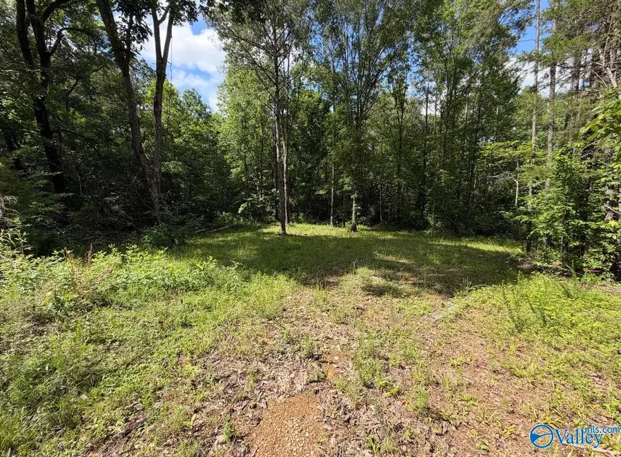 37.0 Acres County Road 940, Crane Hill, AL 35053 - #3