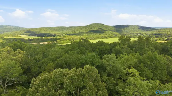 11550 County Road 8, Woodville, AL 35776
