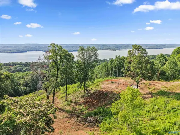423 Keene Point Drive, Grant, AL 35747