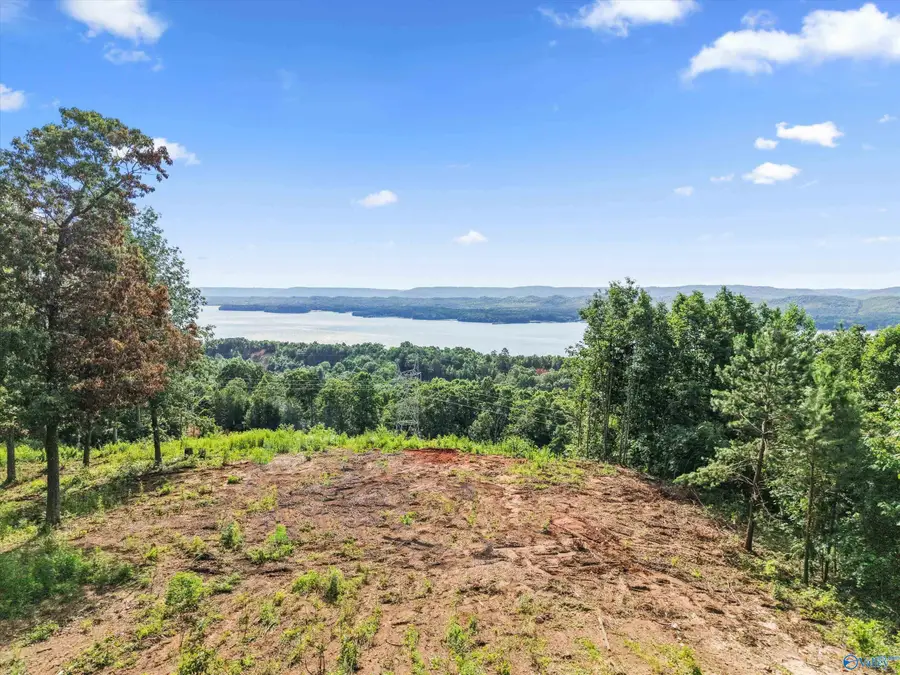 423 Keene Point Drive, Grant, AL 35747 - #2