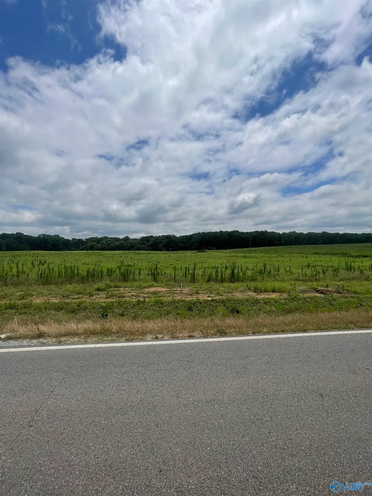 2 Ed Ray Road, Athens, AL 35611 - #1