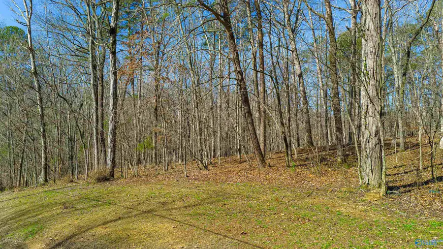 2.25 Acres 67th Street Nw, Fort Payne, AL 35967 - #3