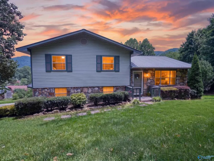 3917 Plains Avenue Sw, Fort Payne, AL 35967 - #2