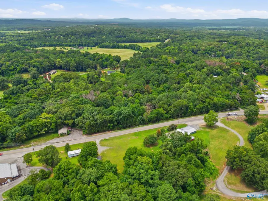 9 acres Hough Road, Laceys Spring, AL 35754 - #2