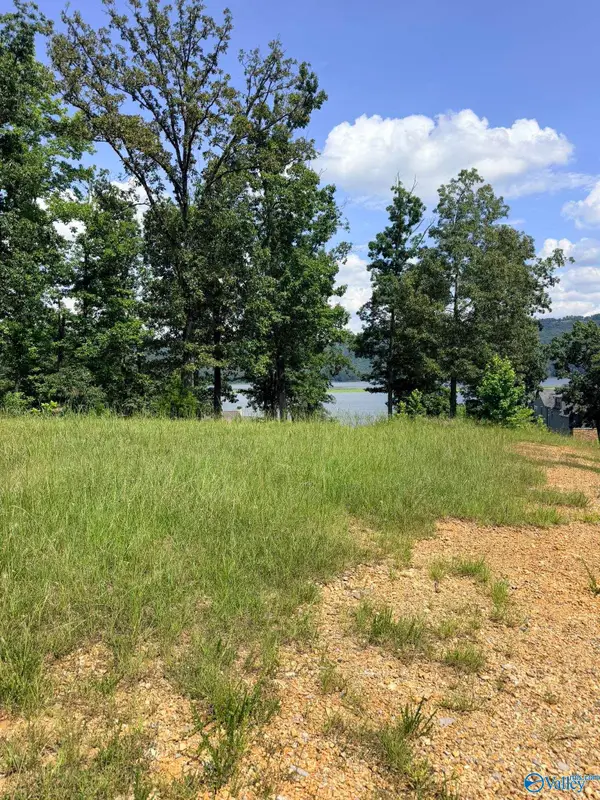 1749 Lookout Mountain Drive, Scottsboro, AL 35769