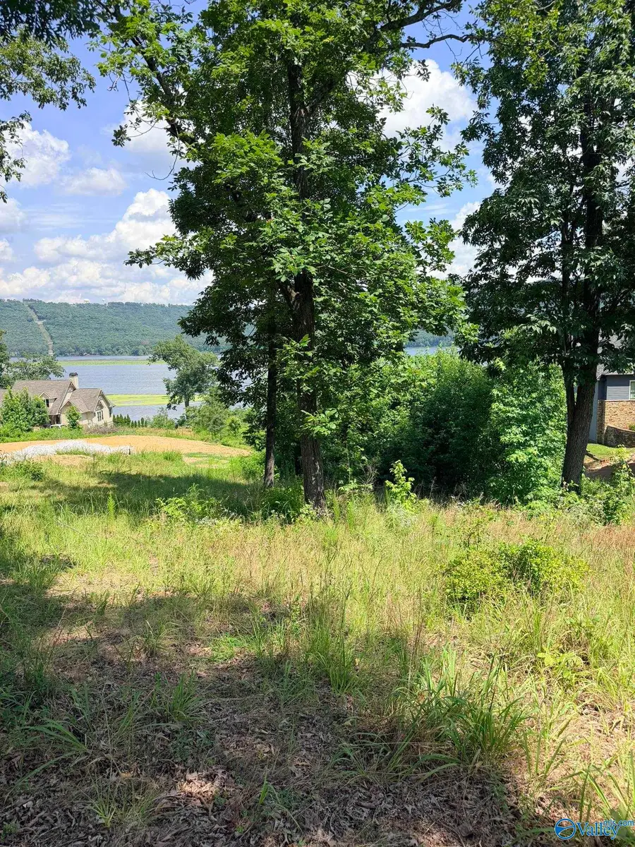 1749 Lookout Mountain Drive, Scottsboro, AL 35769 - #3