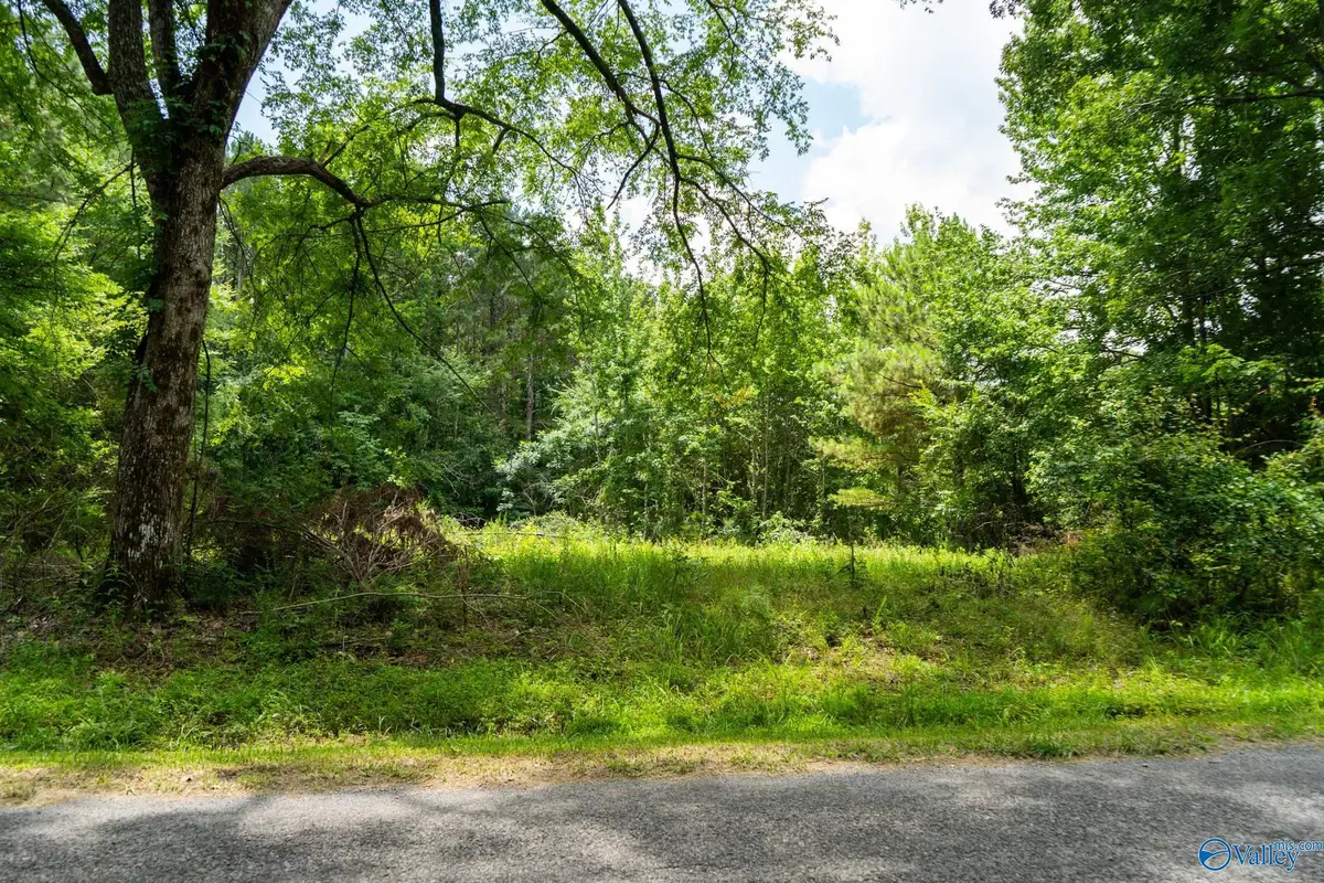 5.37 Acres Mount Carmel Drive, Guntersville, AL 35976 - #1