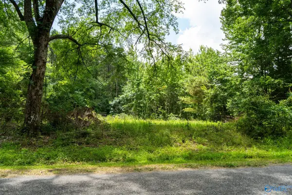 5.37 Acres Mount Carmel Drive, Guntersville, AL 35976
