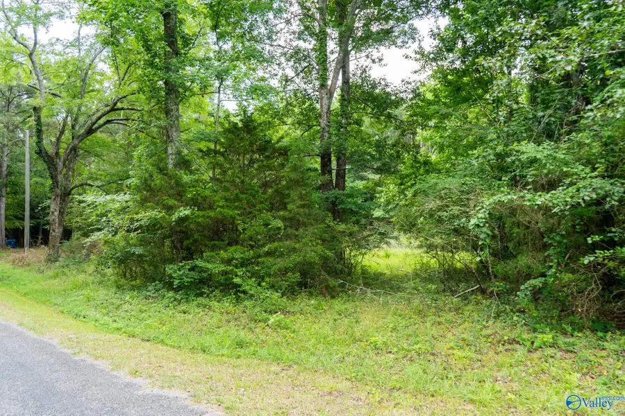 5.37 Acres Mount Carmel Drive, Guntersville, AL 35976 - #2