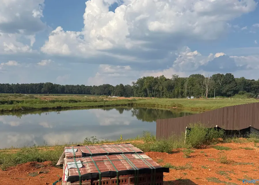 121 Alton Dale Drive, Toney, AL 35773 - #2