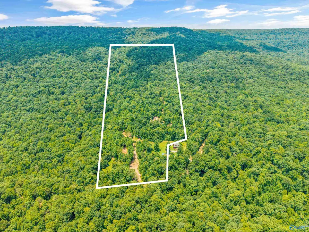 5493 County Road 4, Hollytree, AL 35741 - #1
