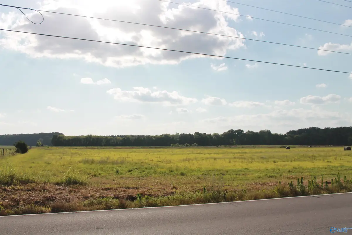 70 Acres Huckaby Bridge Road, Falkville, AL 35622 - #1