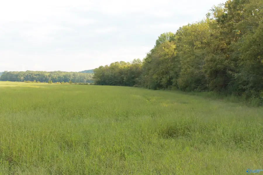 70 Acres Huckaby Bridge Road, Falkville, AL 35622 - #2