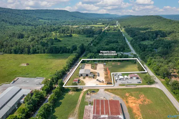 64 Jeff Cook Drive, Valley Head, AL 35967